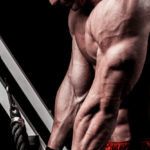 The six best triceps workouts