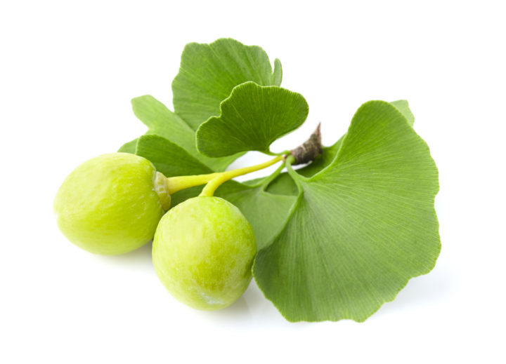 Ginkgo Biloba fruit with leaves